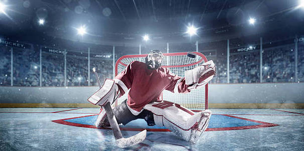 Goalie Blades